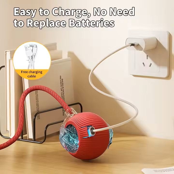 Cat Interactive Ball Toy