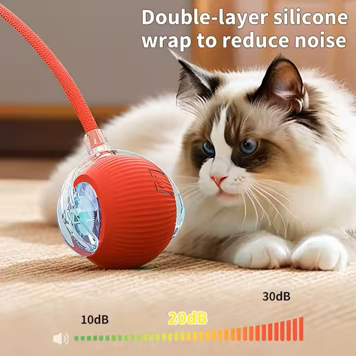 Cat Interactive Ball Toy