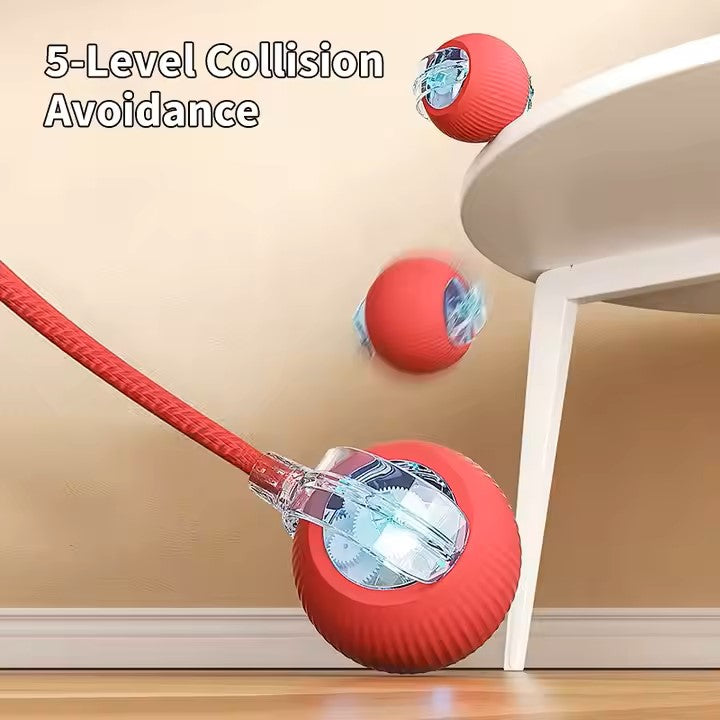 Cat Interactive Ball Toy