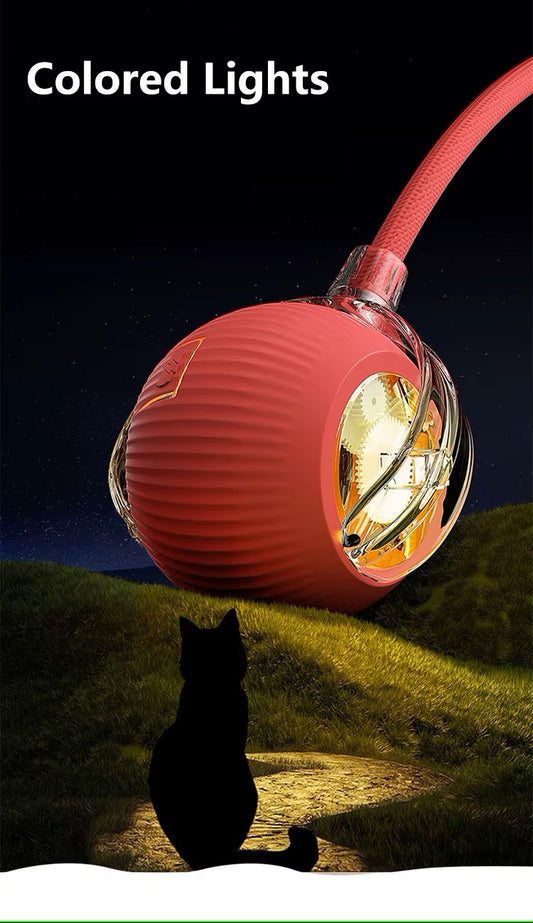 Cat Interactive Ball Toy
